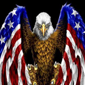 Meet your Posher, Franklin